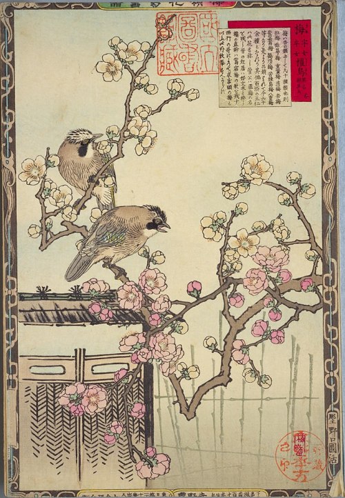 heaveninawildflower:Illustrations from the series ‘Bairei kachō gafu’ by Kōno Bairei (1844-1895).1) 