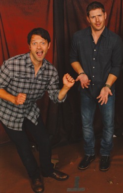 theoverlordmisha:  I would rather Misha ‘wiggle,