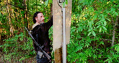 Fuck Yeah TWD