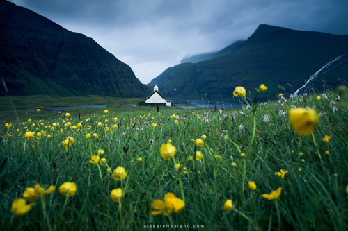natureac: This blog will make you feel at peace