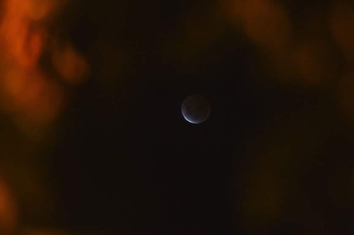 lookatthesefuckinstars: THE BLOOD MOON / lunar eclipse, 4 april 2015.