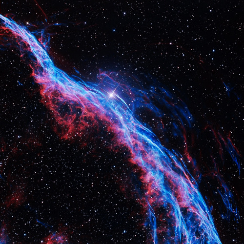 spacewonder19:NGC 6960 Veil / Witch’s Broom Nebula