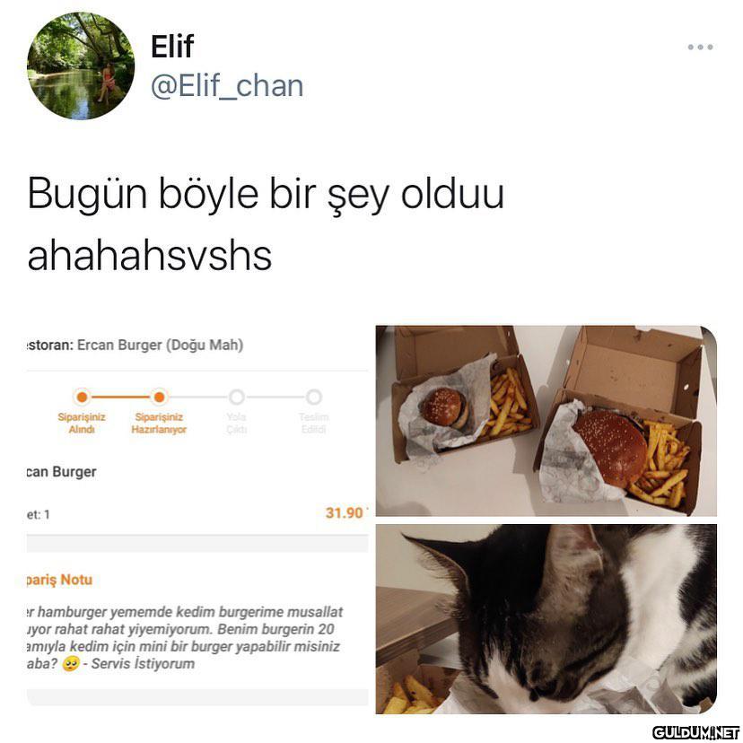 çabuk bakın şuna çabuk ...