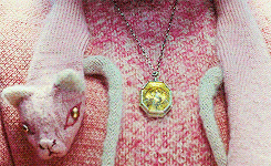 wolfinghard:  harry potter + details 