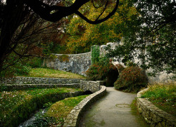 followthewestwind:  Tollymore park by NIrelandeye on Flickr.Ireland
