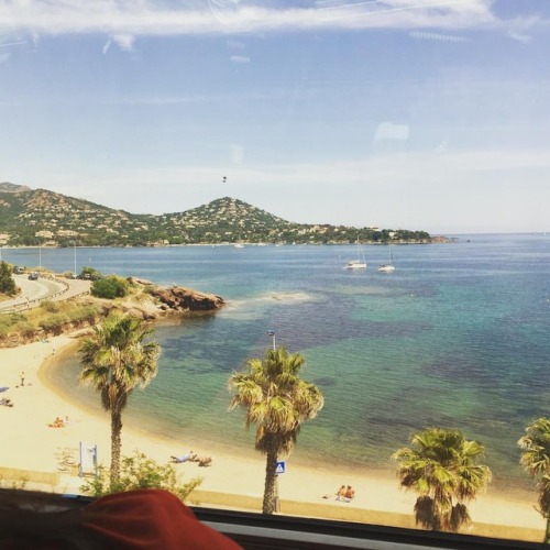 Missing sunnier climes #summer #trainshot #palmtrees #beach #sea #cotedazur