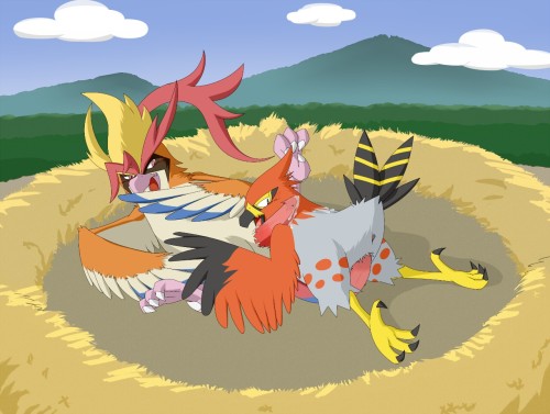 lucariofan97:  Talonflame by request 