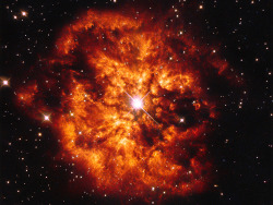 spaaaaaceblog:  The star WR24 and the fiery M1-67 nebula that surrounds it.Source