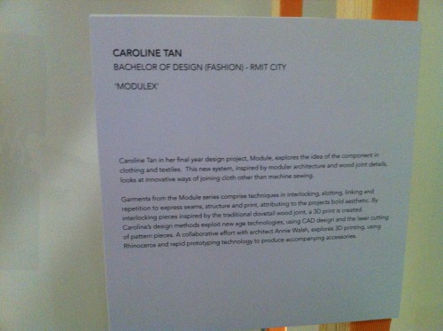 I managed a quick visit to the MSFW: Emerging Designer Exhibition. The idea of linking fabric i