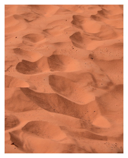 fatchance:Coral-pink sand at Valley of Fire State Park, Nevada.