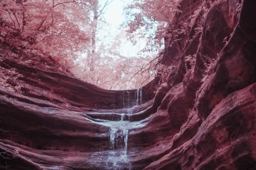 bonyfisheye:  Visible Light vs Infrared photos from Starved Rock State Park in Illinois