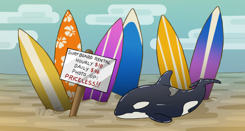 Come try the patented Baby Shamu™ surfboard! No weight limit, no problem!