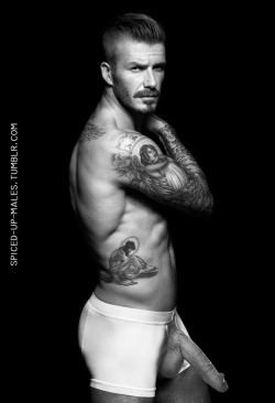 Spiced-Up-Males:  David Beckham By Spiced Up Males 