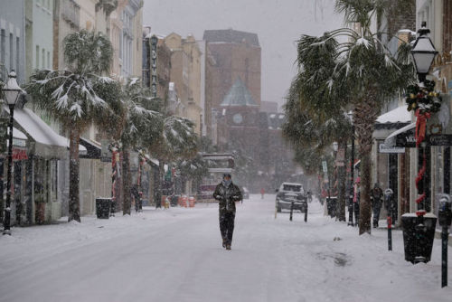 ❄️ Snow in the South ❄️Last week’s snow storm rocked the southern United States. While the bomb cycl