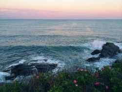 find me in a field of wildflowers