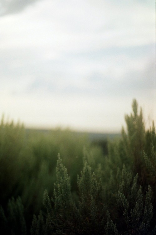Worship Blog