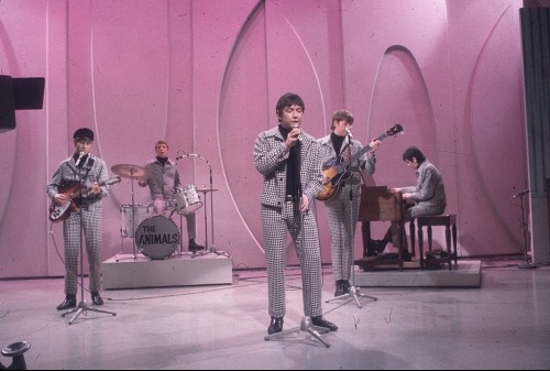 reluctant-martyrs: The Animals perform live on the Ed Sullivan Show, c. 1966