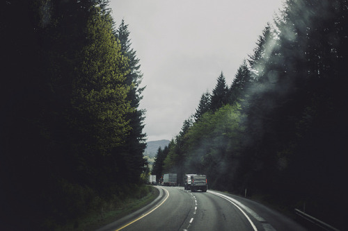 Friday 25th of April - Washington state road towards Seattle by bus