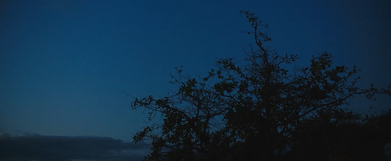 cinemastuff:  Burning (2018, dir. Lee Chang-dong)