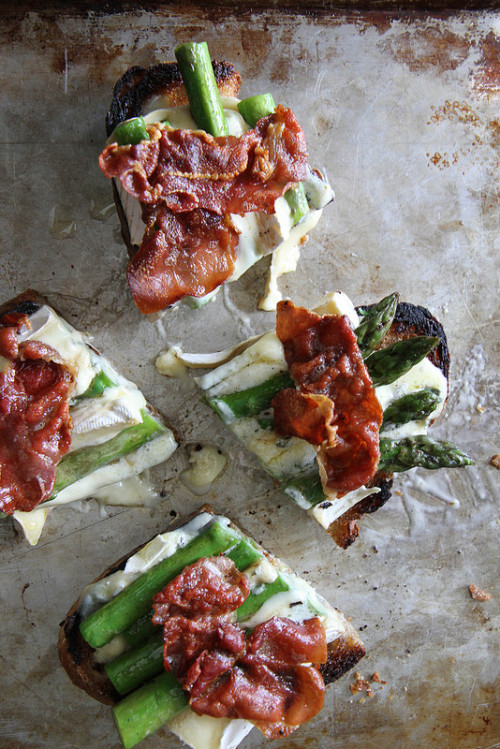 gastrogirl:asparagus, crispy prosciutto, and brie grilled cheese.