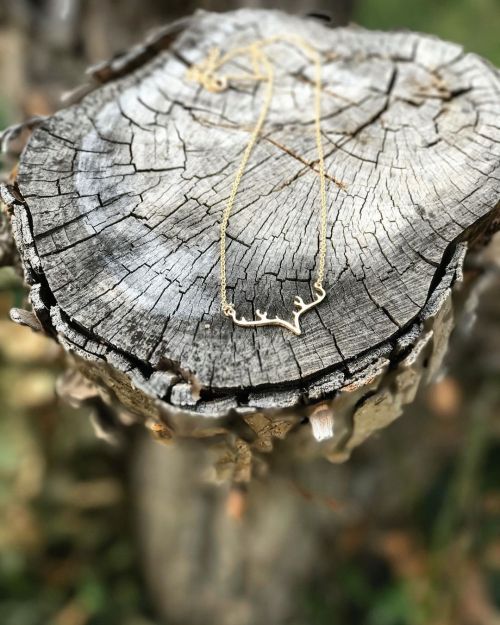 A tribute to the wild Elk that roam. Tap to shop our ‘Wild And Free’ Elk Antler Necklace. Available 