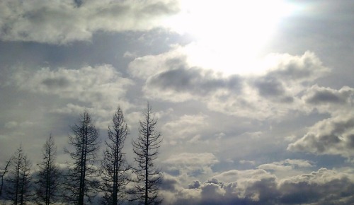 Spring Thunderstorm Clouds. They Made Thunder And Lightning Over The Ocean Yesterday. I Think It Was