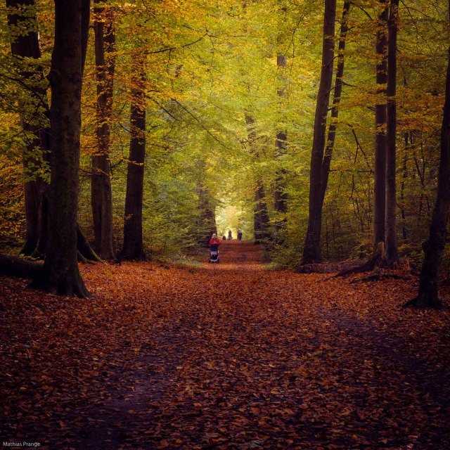 Walks in colours