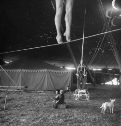 hollybailey:  Ringling Bros Circus, 1949 by