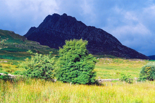 Climbing in North Wales. Expired film.