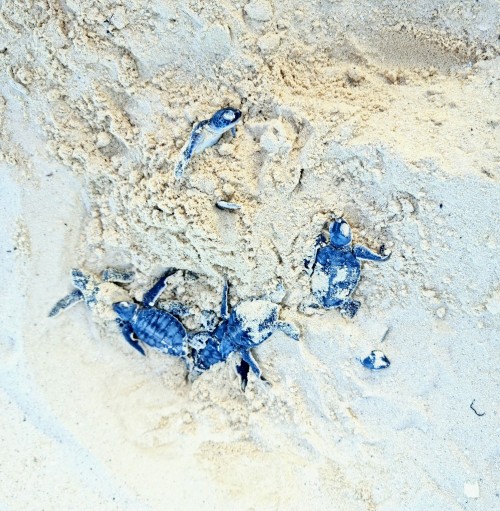 Cancun, Mxico 