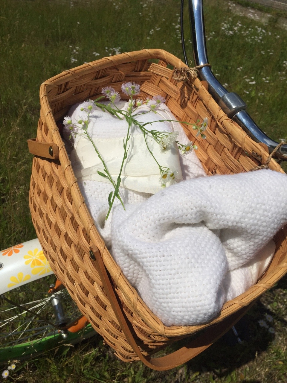 buzzflower:  Snippets from yesterday’s 6 mile bike ride 