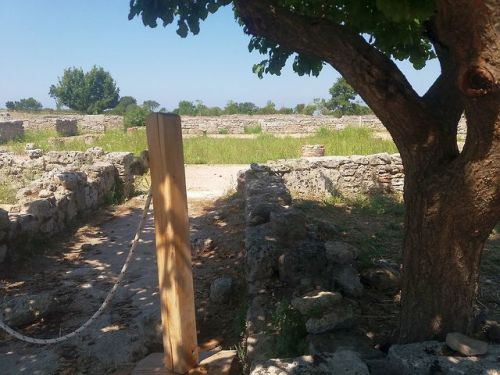 ancientromebuildings: PaestumThe same tree and Roman house as in my previous ancientgreecebuildings 