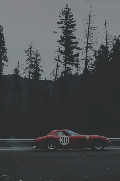 artoftheautomobile:  1964 Ferrari 250 GTO