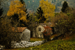 lori-rocks:  House of Witches (by Davide-/-)