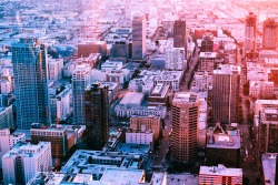 leahberman:  urban sunsetlos angeles, californiainstagram