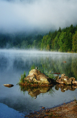 allthingseurope:  Bixad, Covasna, Romania (by &lsquo;Ajnagraphy&rsquo;) 