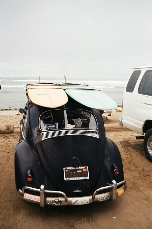 Sexy Motors and Lifestyle