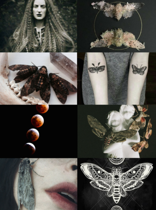 mypieceofculture: Animal Witch Aesthetics // Moth Witch Request Rabbit Witch | Seahorse Witch&n