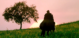 saintalia:Do you know that hawks and wolves mate for life?Ladyhawke (1985) dir. Richard Donner
