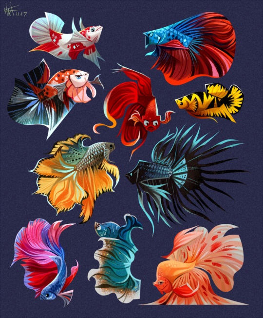 some of us draw bettas?? to cope??