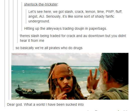 itsstuckyinmyhead:  Struggles of a Tumblr Blogger