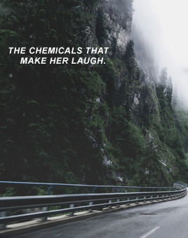 lyricsgraphy: the 1975 - she lays down