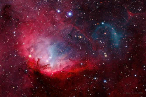  Sh2-101, Tulip Nebula