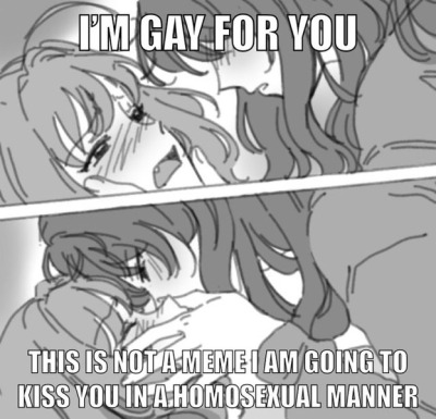 imaishikis:Just some funny little shiamus Sorry that imaishikis is just jokes galore