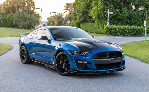  1200+whp made easy. Palm Beach Dyno is performing tuning magic on their CX1100R Ford Mustang Shelby