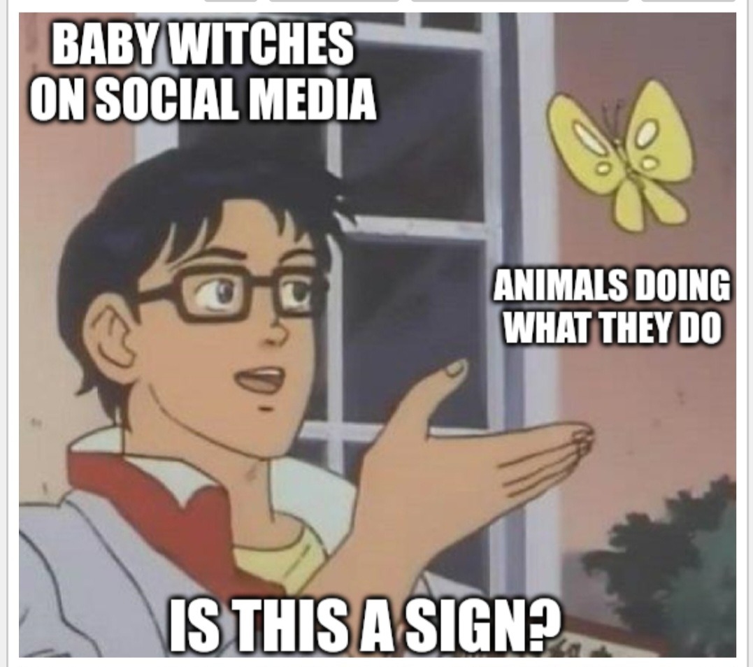 windvexer:upthewitchypunx:libraford:upthewitchypunx:hachama:traegorn:upthewitchypunx:Apparently it’s the “WhAt DoEs It MeAn?!” Time for Facebook witches who seem to have never paid attention to animals in nature and ask questions about