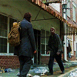 thewalkinggifs:  #a very serious show about a zombie apocalypse vol.2 [vol.1] 