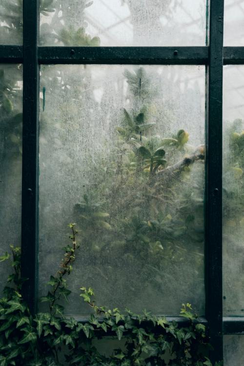 moody-nature:Untitled // By Thimo van Leeuwen