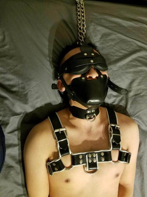 XXX pupaegis:Not a bad way to be kept overnight photo