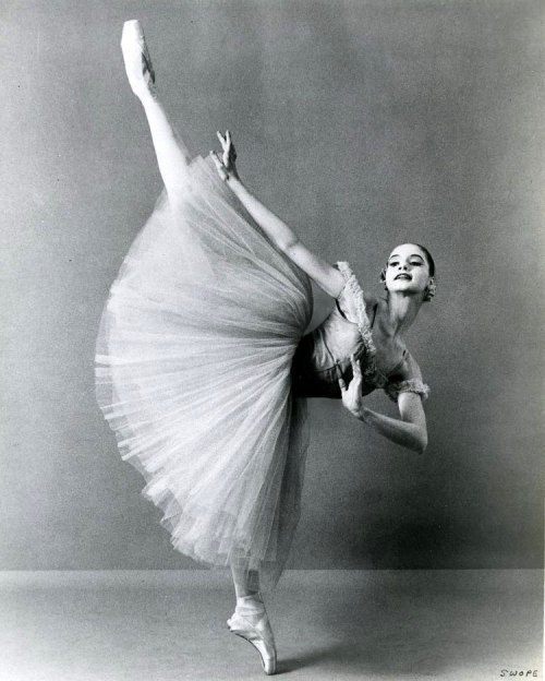 a-ballet-boom:Suzanne Farrell, photographed by Martha Swope.